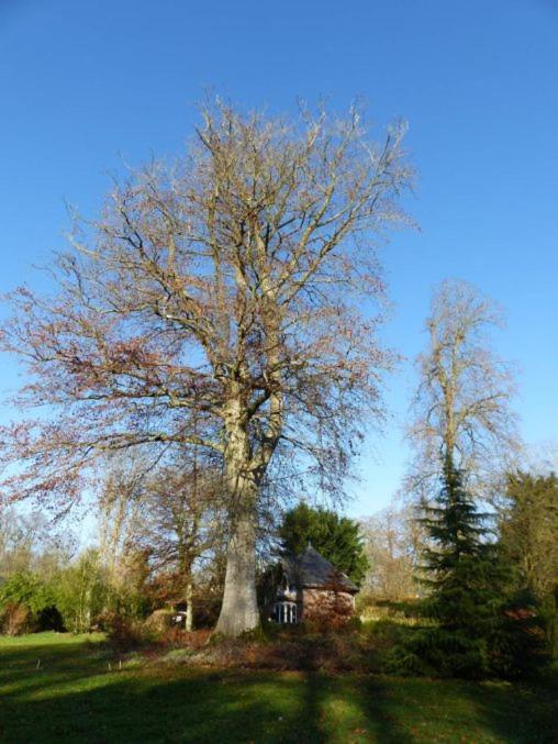 Chambre E Andre Le Domaine Des Jardins De Bracquetuit Exteriör bild